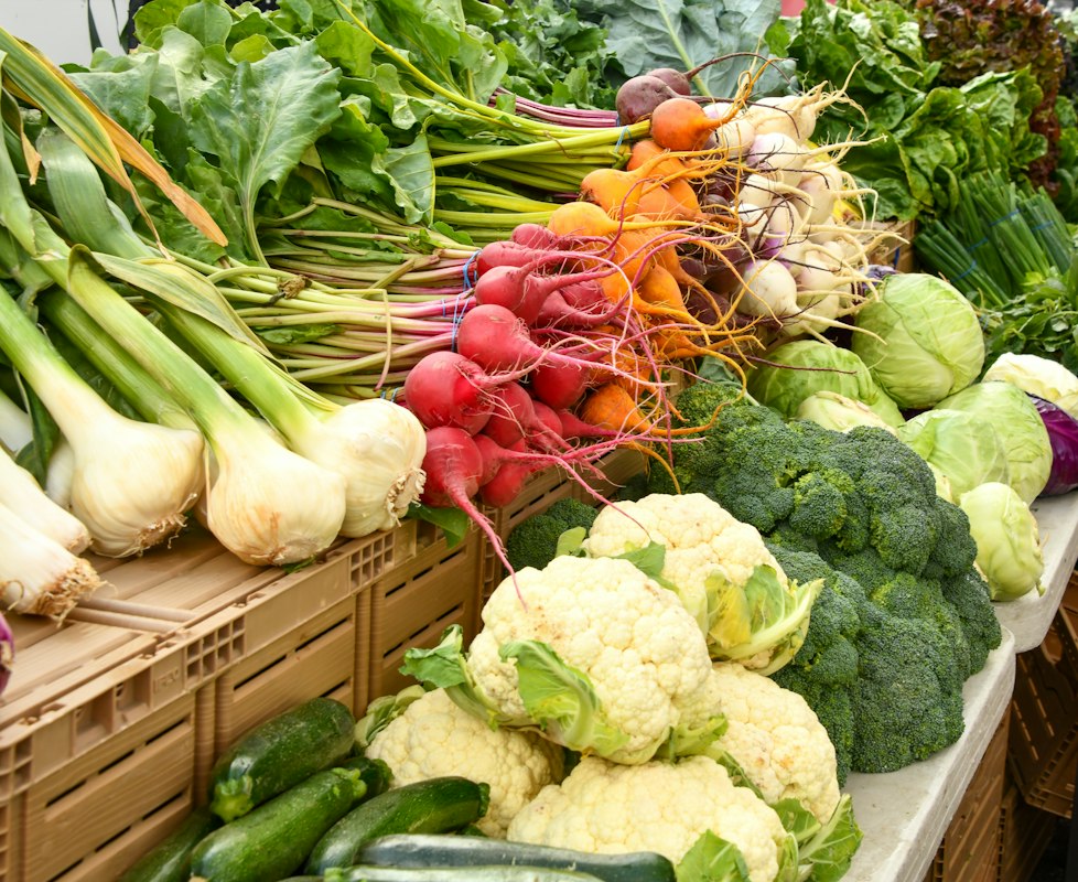 Courgettes vertes pour une alimentation légère